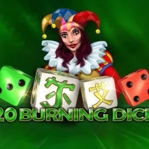 20 Burning Dice