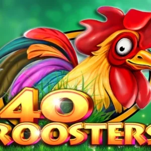 40 Roosters