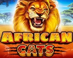 African Cats