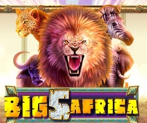 Big 5 Africa