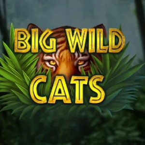 Big Wild Cats