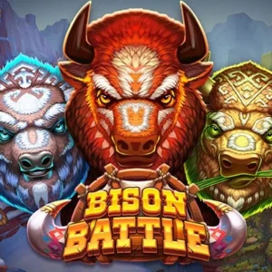 Bison Battle