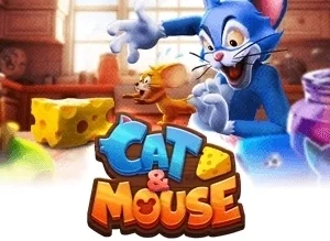 Cat & Mouse