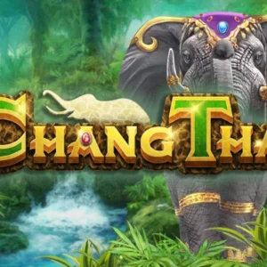 Chang Thai