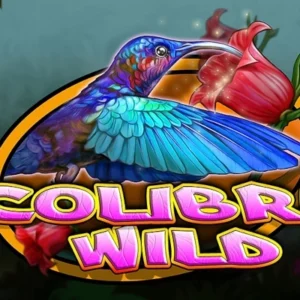 Colibri Wild