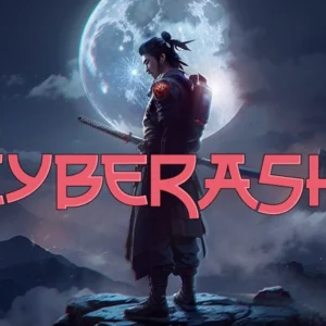 Cyberashi