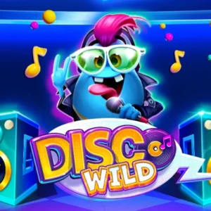 Disco Wild
