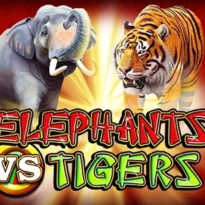 Elephants vs Tigers