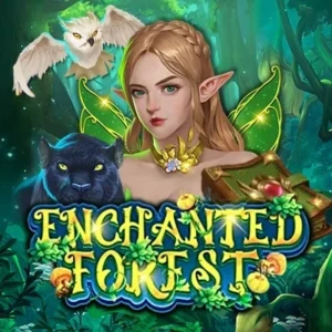 Enchanted Forest