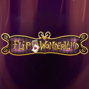 Flip Wonderland
