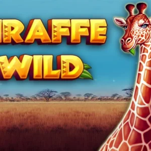 Giraffe Wild