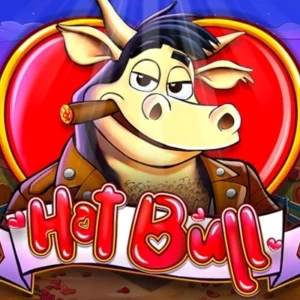 Hot Bull