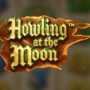 Howling at the Moon
