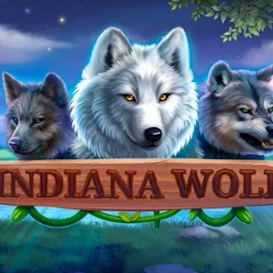 Indiana Wolf