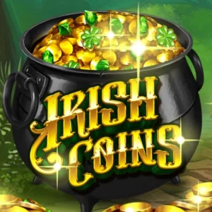 Irish Coins