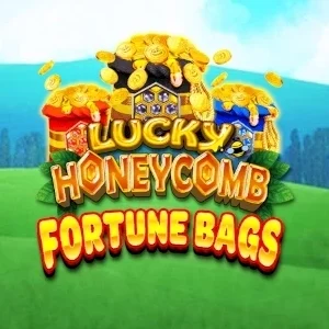 Lucky Honeycomb Fortune Bags