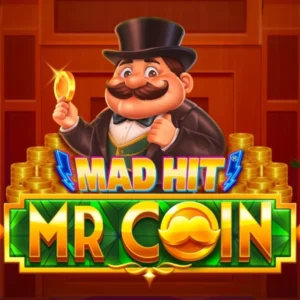 Mad Hit Mr Coin
