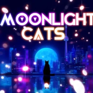 Moonlight Cats