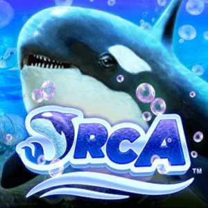 Orca