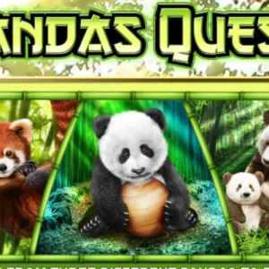 Pandas Quest