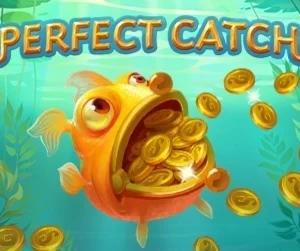 Perfect Catch