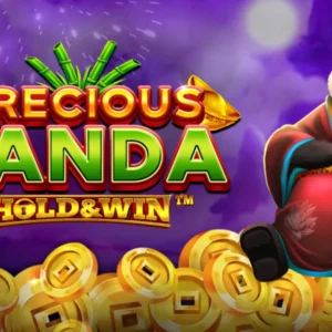 Precious Panda: Hold & Win