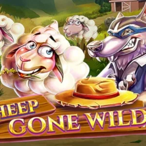 Sheep Gone Wild