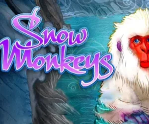 Snow Monkeys