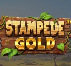 Stampede Gold