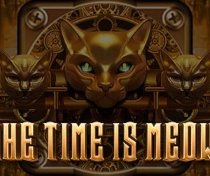 The Time is Meow