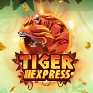 Tiger Express
