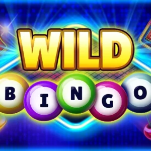 Wild Bingo