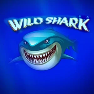Wild Shark