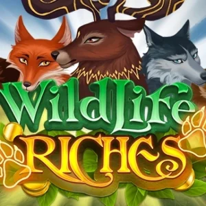 Wildlife Riches